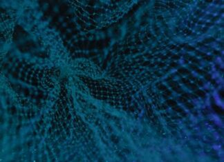 What is the Difference Between Defi and CeFi? blue and white floral textile