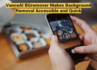 VanceAI BGremover Makes Background Removal Accessible and Quick