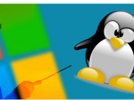 VPS Hosting: Windows or Linux?