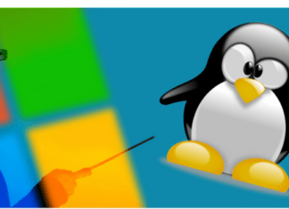 VPS Hosting: Windows or Linux?