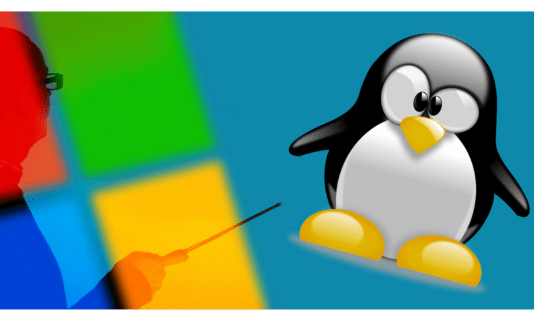 VPS Hosting: Windows or Linux?