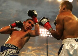 Beginner Sports Betting Tips for a Better More Rewarding Experience