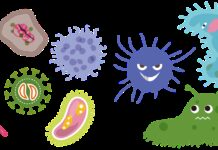 5 Ways to Control the Mold Problem in Your House bacterias, virus, corona