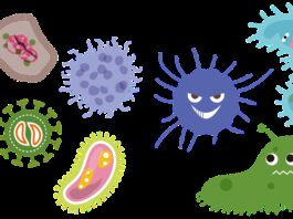 5 Ways to Control the Mold Problem in Your House bacterias, virus, corona