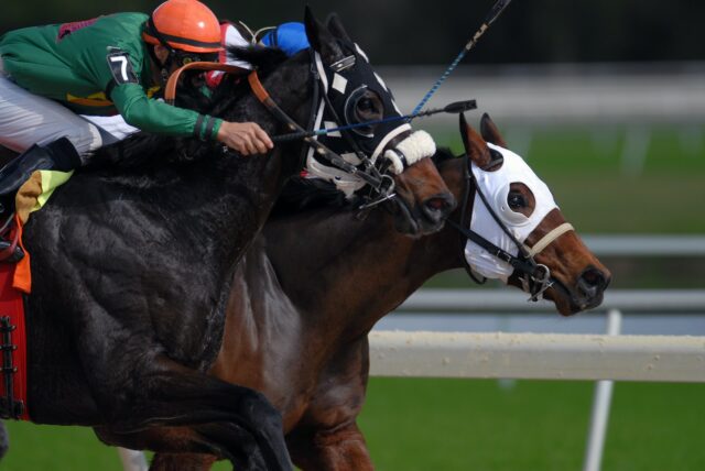 Photo by Jeff Griffith man riding horse