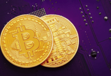 Crypto Credit Cards: What It Is And Why Americans Are Increasingly Using Them