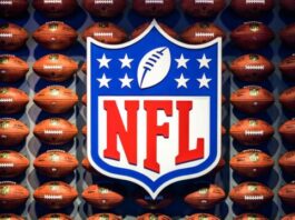 Why Watching the NFL on TV is Better Than In Person NFL logo