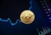 Minimizing Losses in Bitcoin Trading Golden bitcoin coin on background of chart showing indicators of changes in cryptocurrency rates