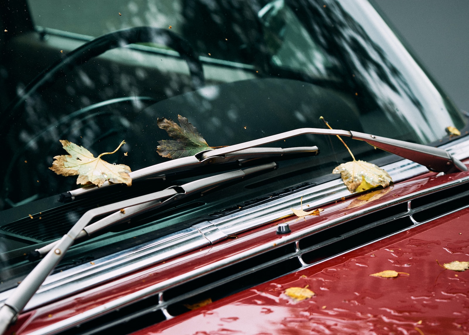 The Differences Between Duralast Bosch Windshield Wipers