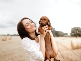 Dachshunds Fun Facts You Absolutely Must Know
