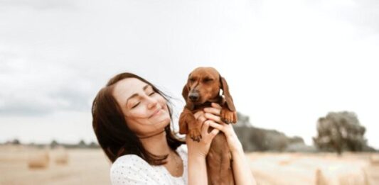 Dachshunds Fun Facts You Absolutely Must Know