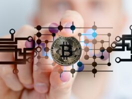 Understanding the Bitcoin Trading Cycle! bitcoin, cryptocurrency, currency