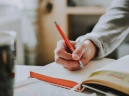 Different Types of Academic Writing person holding on red pen while writing on book