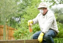 The Ultimate Guide to Pest Control in Jupiter, FL man in white long sleeve shirt and blue denim jeans sitting on brown wooden fence during