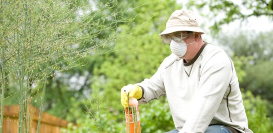 The Ultimate Guide to Pest Control in Jupiter, FL man in white long sleeve shirt and blue denim jeans sitting on brown wooden fence during