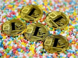 Litecoin Mining Explained: A Step-by-Step Guide gold round coin on multicolored textile