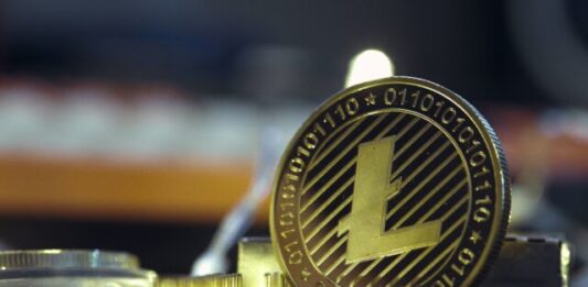 Litecoin: Market Performance, Use Cases and Impact on Crypto Market a close up of a bit coin on a table
