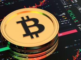 Trading vs. Investing in Cryptocurrency: What You Need To Know