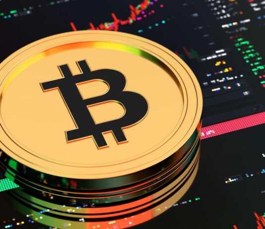 Trading vs. Investing in Cryptocurrency: What You Need To Know