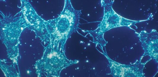 Unraveling the Microscopic World: The Art of Materials Analysis a close up of a cell phone with a blue background