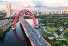 Bitcoin Investment Progress for this Decade in Russia landscape photography of trees