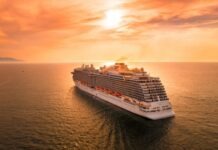 AI is Used to Detect and Prevent Cruise Ship Malfunctions white ship on sea during sunset