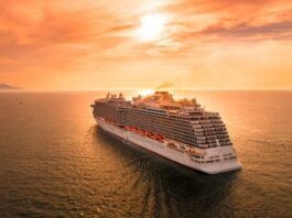 AI is Used to Detect and Prevent Cruise Ship Malfunctions white ship on sea during sunset
