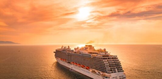 AI is Used to Detect and Prevent Cruise Ship Malfunctions white ship on sea during sunset