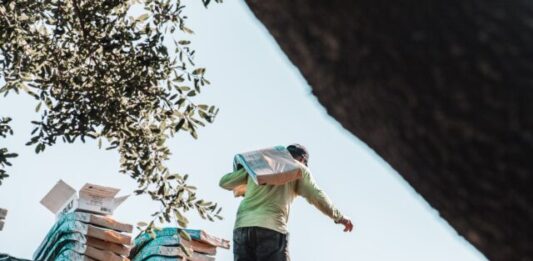 Choosing the Optimal Time of Year for Roof Replacement: Factors to Consider a man riding a skateboard on top of a roof
