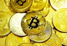 Bitcoin Investment Progress in Eureka gold and silver round coins