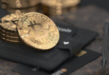 Embracing the Future of Transactions: The Rise of Crypto Payment Solutions silver round coin on black leather case