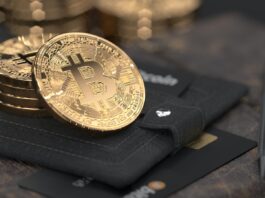 Embracing the Future of Transactions: The Rise of Crypto Payment Solutions silver round coin on black leather case