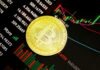 The Bitcoin Blueprint: Profiting in the Digital Age gold round coin on black surface