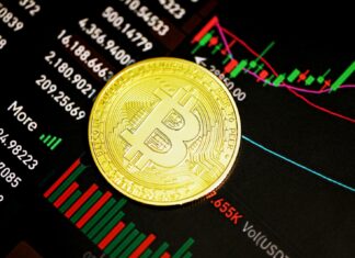 The Bitcoin Blueprint: Profiting in the Digital Age gold round coin on black surface