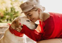 Everything you need to know if you are a pet parent for the first time