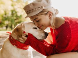 Everything you need to know if you are a pet parent for the first time