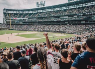 10 Best Degrees for The Sports Enthusiasts