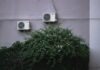 Why You Need a Professional AC Installation Service in Sydney green leafed plant