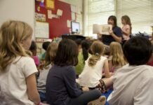 5 Strategies for Educators to Cater to Diverse Learners people sitting on chair inside room