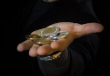 Bitcoin and Bella Protocol: Simplifying DeFi for Everyday Users hand, adult, people