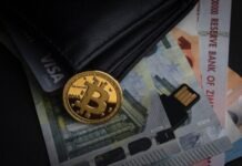 Altcoin Pioneers: Visionaries Shaping the Post-Bitcoin Crypto Frontier a bitcoin sitting on top of a pile of money