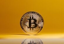 Exploring the Power of CoinSwitch Pro: A Gateway to Advanced Crypto Trading Bitcoin on Yellow Studio Background