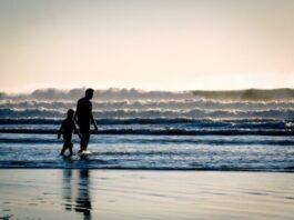 Understand The Standards Related To Court-approved Paternity Tests silhouette of a man and a boy on the seashore