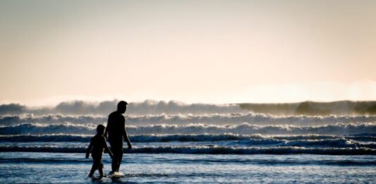 Understand The Standards Related To Court-approved Paternity Tests silhouette of a man and a boy on the seashore