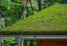 Why Should Sammamish Homeowners Hire Gutter Cleaners?