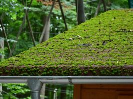 Why Should Sammamish Homeowners Hire Gutter Cleaners?