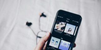 Spotify Batch Downloading: A Guide For Music Lovers person holding iPhone 6 turned on