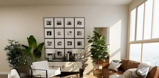 Fostering Wellness: Transforming Your Tampa Home into a Health-Conscious Sanctuary green potted plant on table