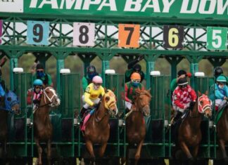 Navigating the Fusion of Sport Betting and Casino Gaming people riding horses during daytime