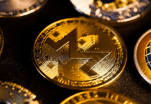 Bonk Coin Set to Shine: Revolut’s $1.2M Educational Campaign and Mainstream Listing